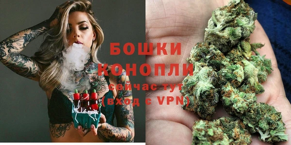 соль ск Михайлов