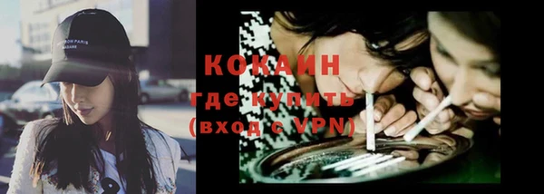 соль ск Михайлов