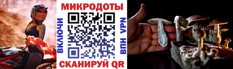 Купить закладки  Катайск  Псилоцибиновые грибы мицелий 